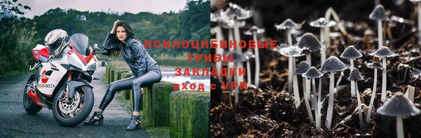 каннабис Алзамай