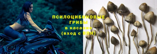 каннабис Алзамай