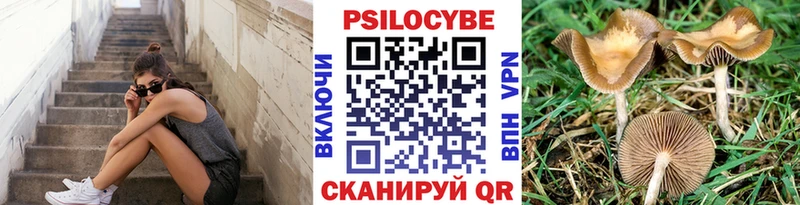 Псилоцибиновые грибы Magic Shrooms  mega ссылки  Щигры 